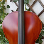 Cello antique